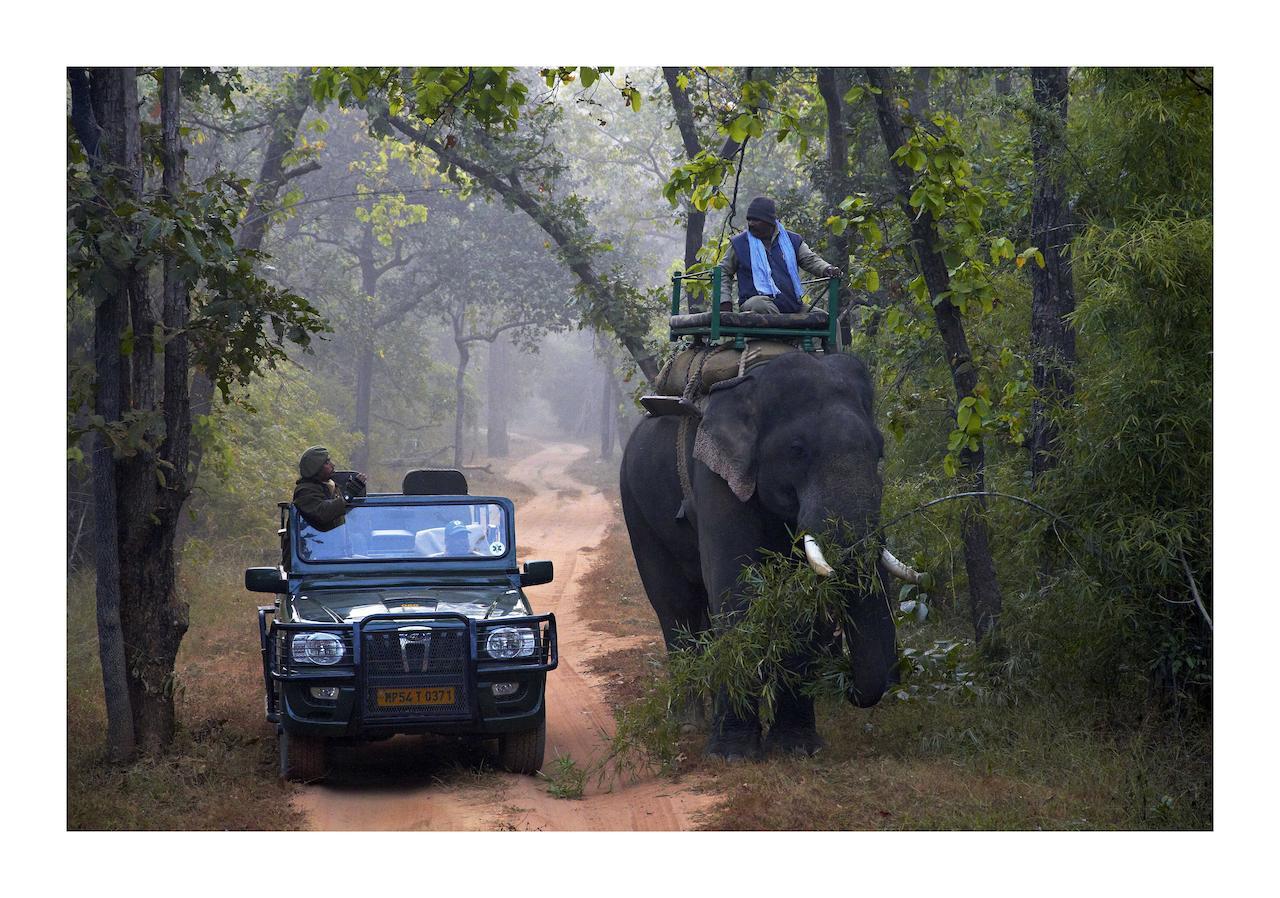 Samode Safari Lodge Parāsi Exteriör bild
