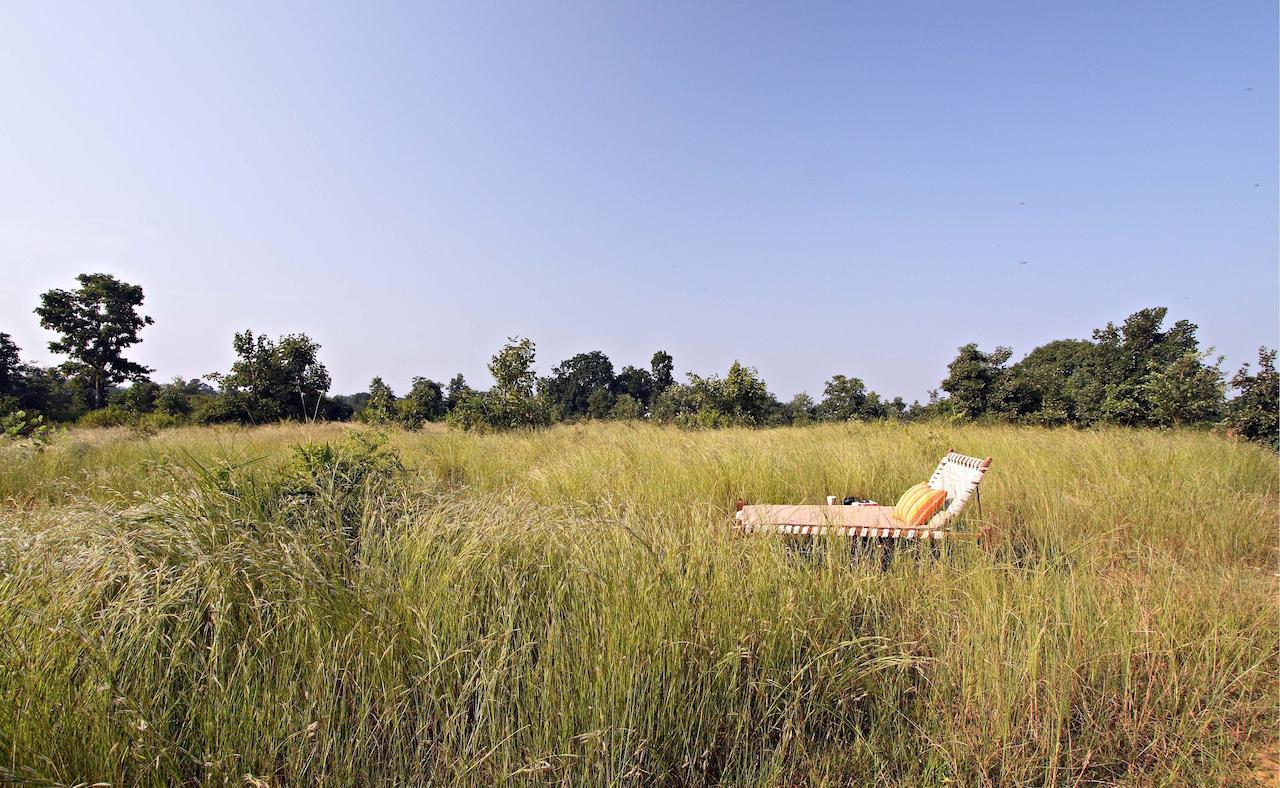 Samode Safari Lodge Parāsi Exteriör bild