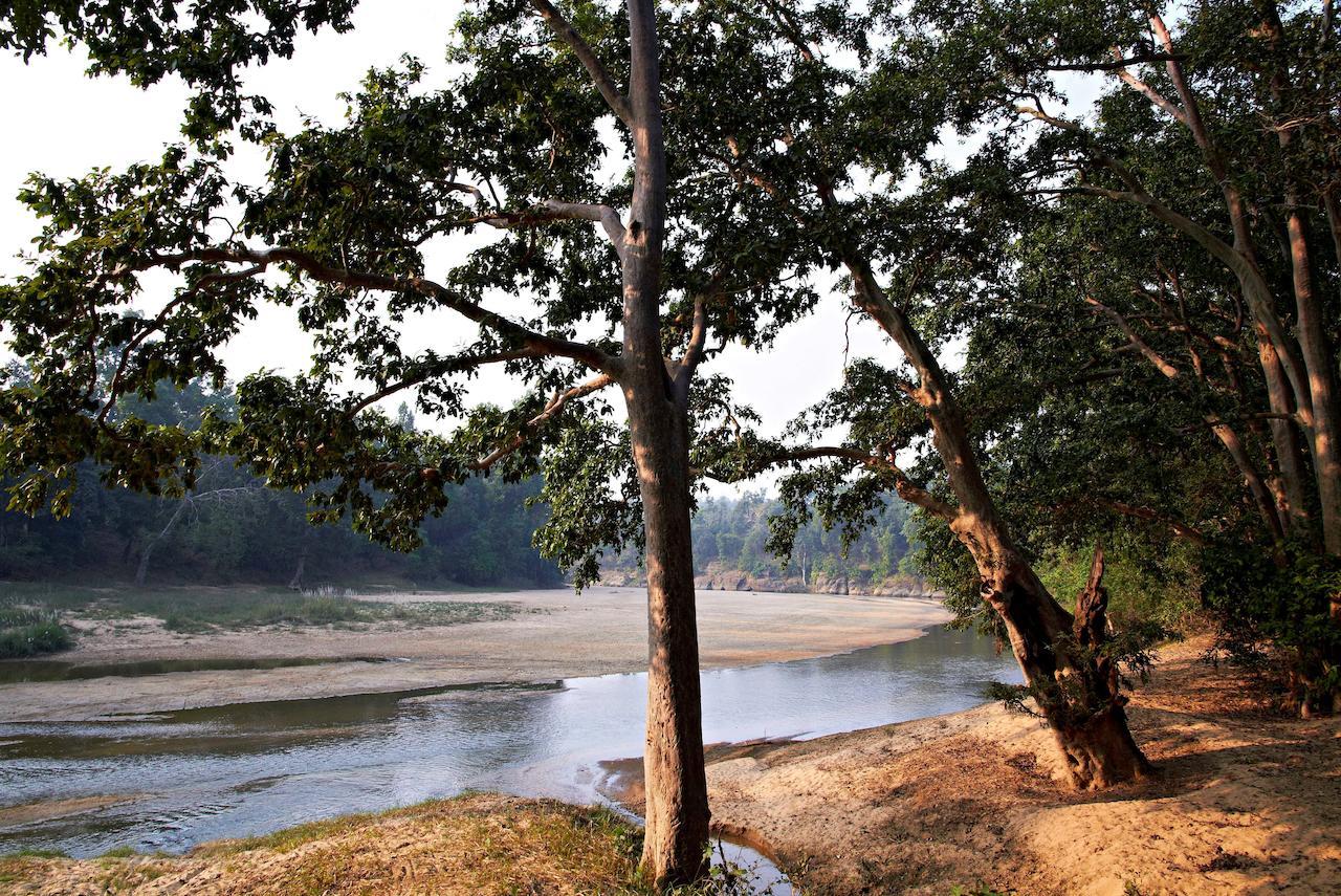 Samode Safari Lodge Parāsi Exteriör bild